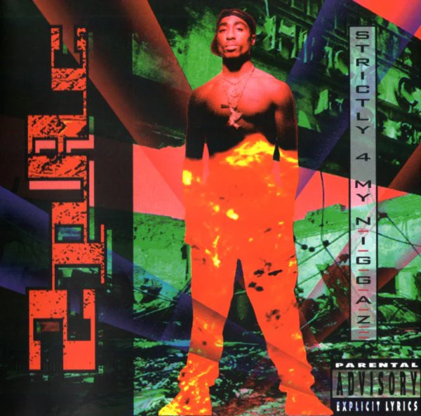 2PAC - STRICTLY 4 MY NIGGAZ - CD