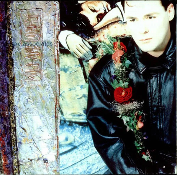 ASSOCIATES - WILD & LONELY - LP