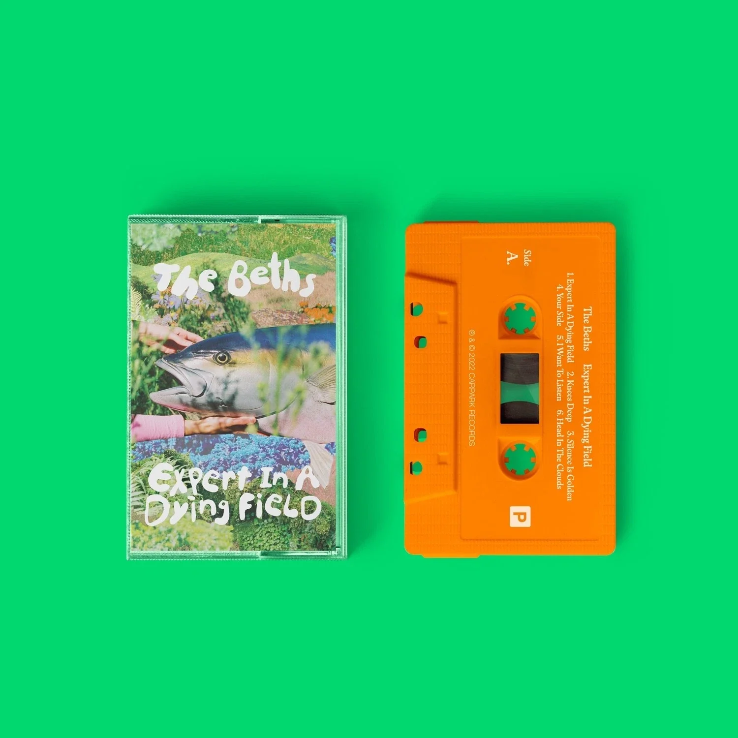 BETHS - EXPERT IN A DYING FIELD : CASSETTE - CS