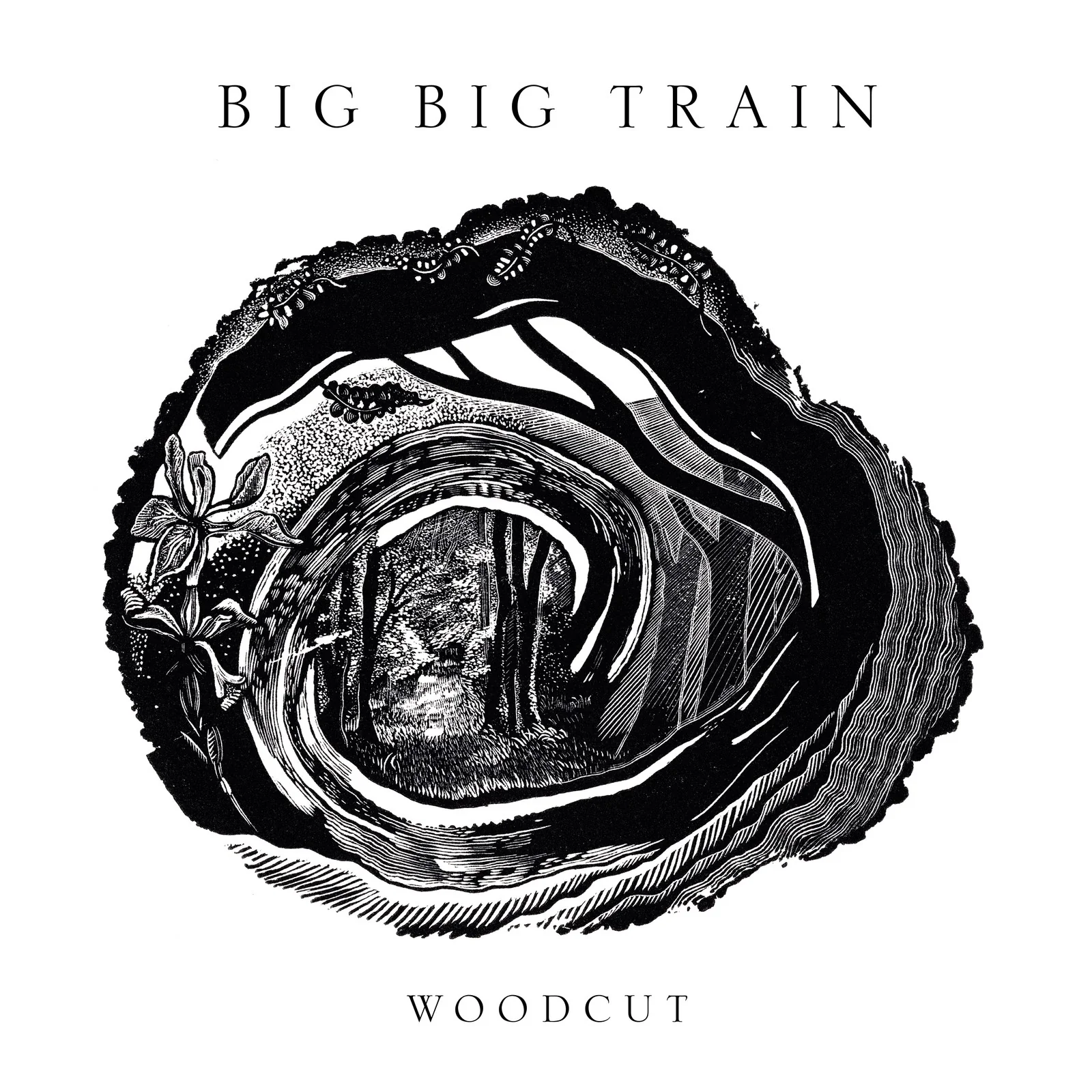 BIG BIG TRAIN - WOODCUT - CD