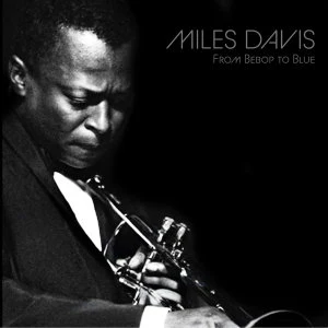 DAVIS, MILES - FROM BEBOP TO BLUE: 3LP SET - LP