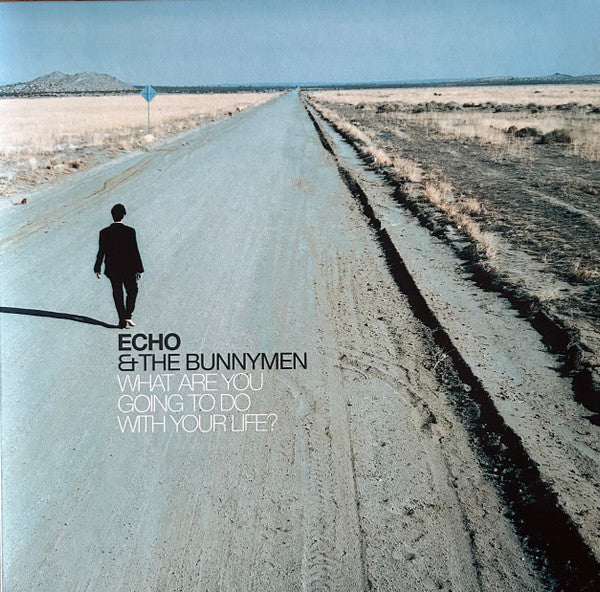 ECHO & THE BUNNYMEN - WHAT ARE YOU GOING TO DO ... : TURQUOISE - LP