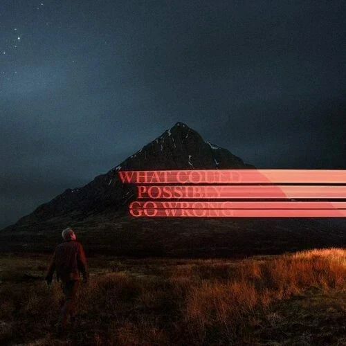 FIKE, DOMINIC - WHAT COULD POSSIBLY GO WRONG - CD