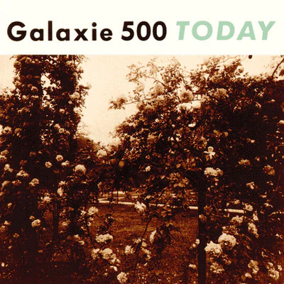 GALAXIE 500 - TODAY - LP