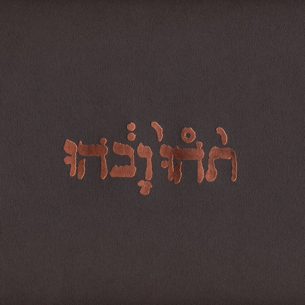 GODSPEED YOU BLACK EMPEROR! - SLOW RIOT FOR NEW ZERO - LP