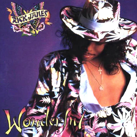 JAMES, RICK - WONDERFUL (US PRESS) - LP