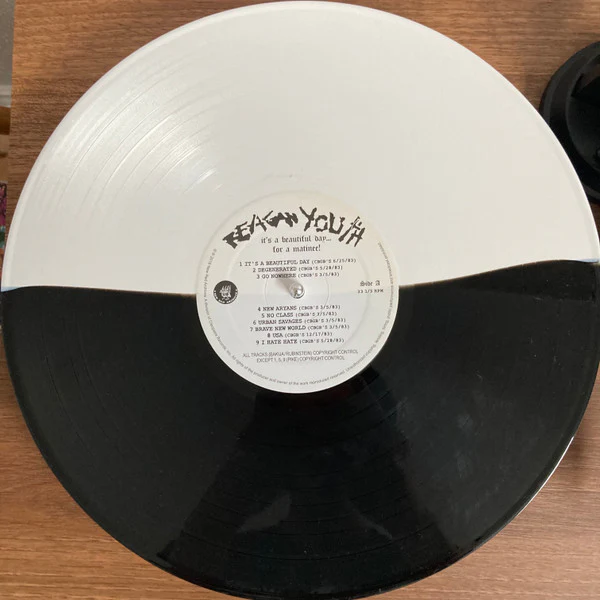 REAGAN YOUTH - IT'S A BEAUTIFUL DAY...FOR A MATINEE - LP
