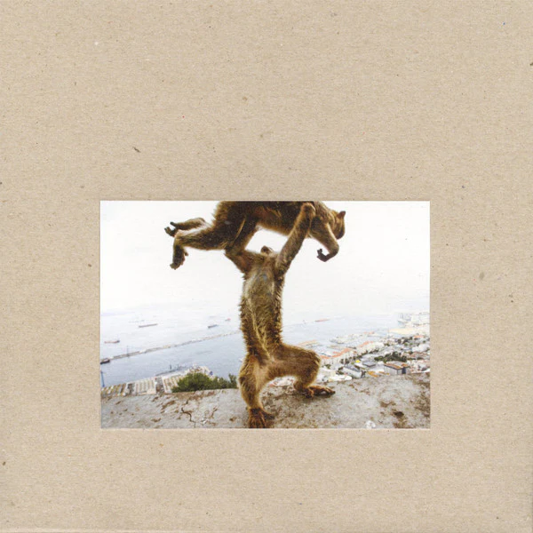 SHELLAC - DUDE INCREDIBLE - CD