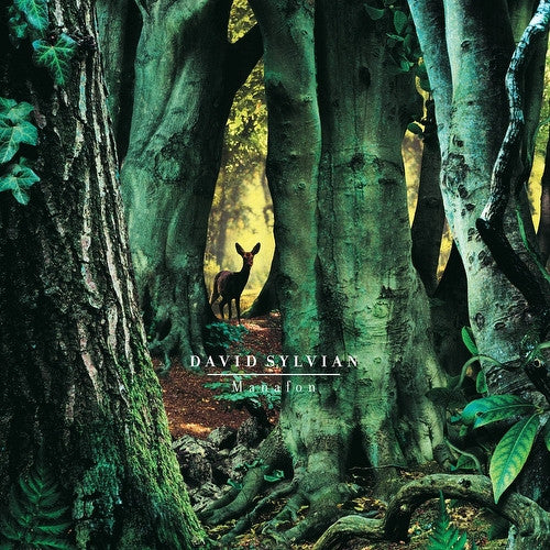 SYLVIAN, DAVID - MANAFON : 2LP SET 180G VINYL - LP