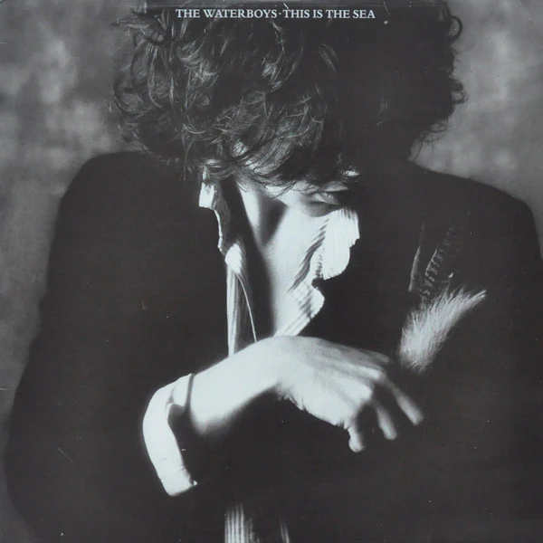 WATERBOYS - THIS IS THE SEA (SOUTH AFRICAN PRESS) - LP